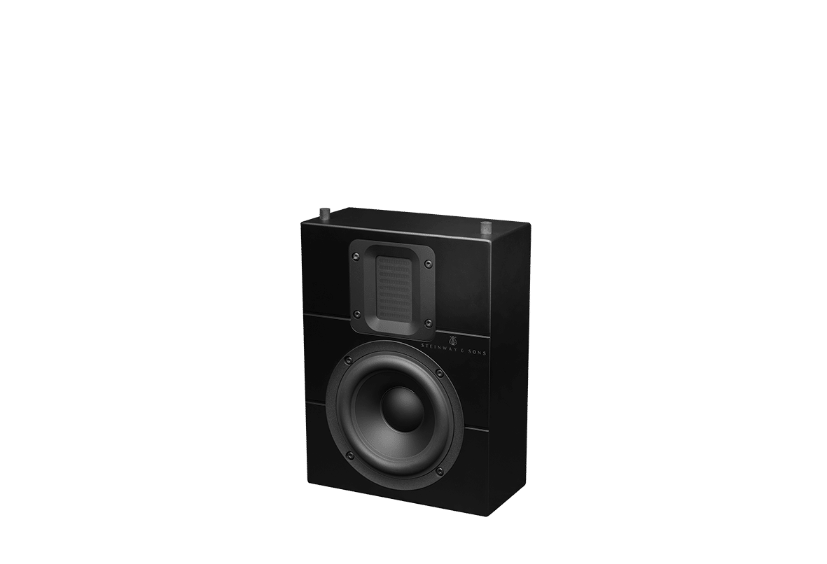 Steinway Lyngdorf Model IW-15 Speaker Black Matte