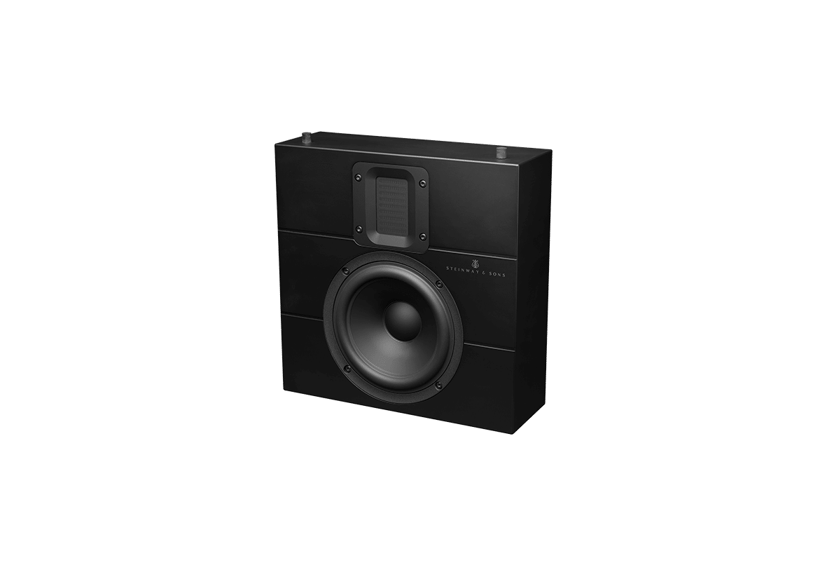 Steinway Lyngdorf Model IW-16 Speaker Black Matte