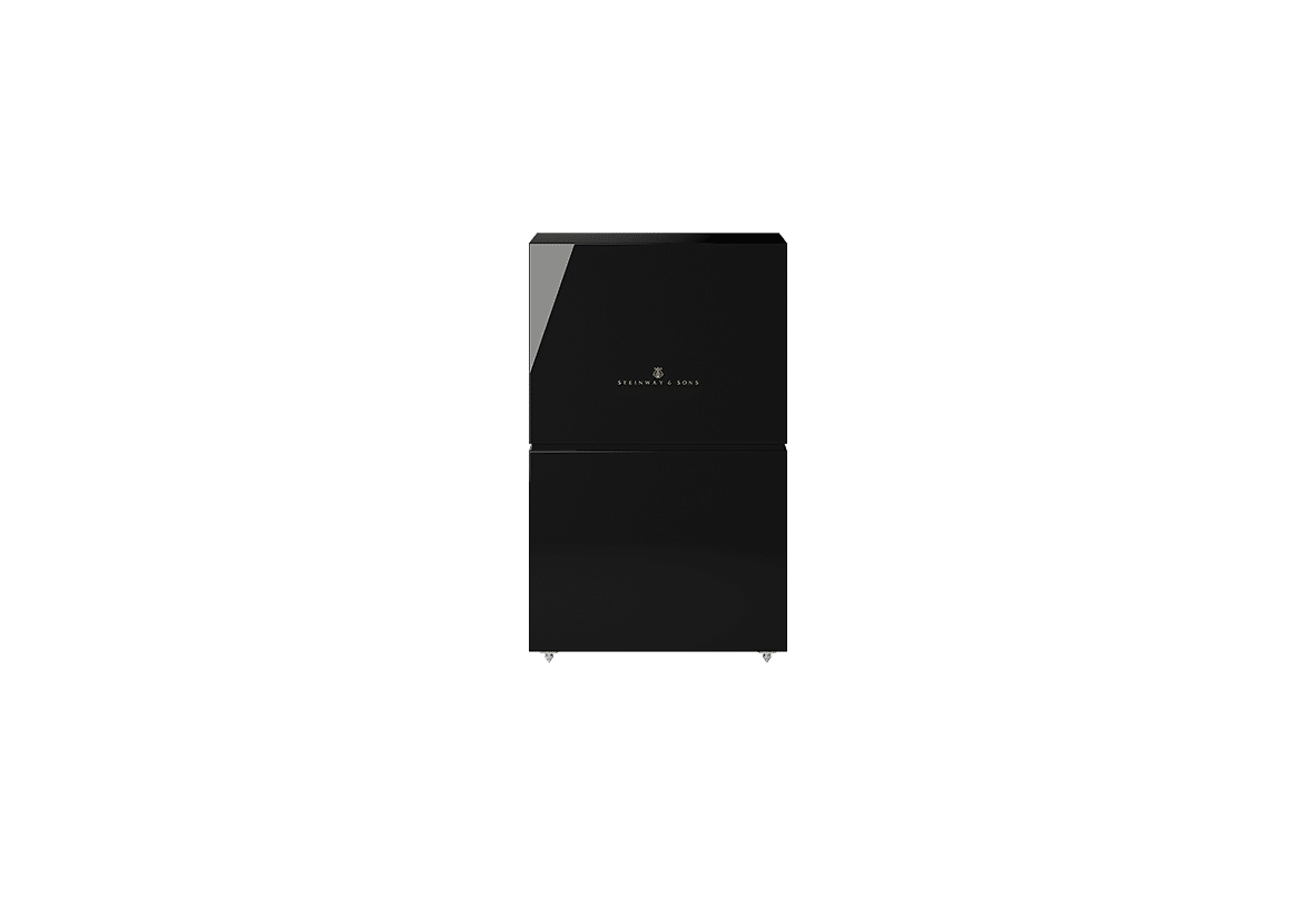 Steinway Lyngdorf Model LSR-210 Boundary woofer Black Matte