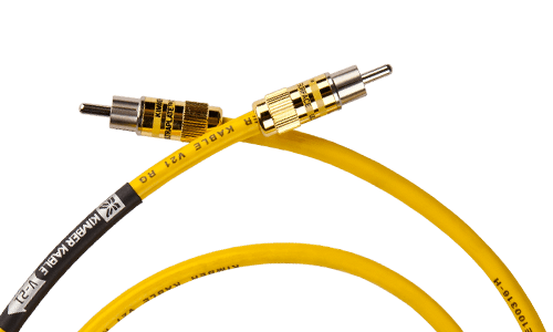 Цифровой интерконнектор V-21